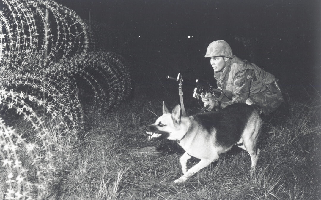 The Dogs of the Vietnam War