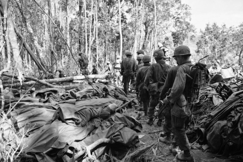 Vietnam War - LZ Hereford (1966) - TogetherWeServed Blog