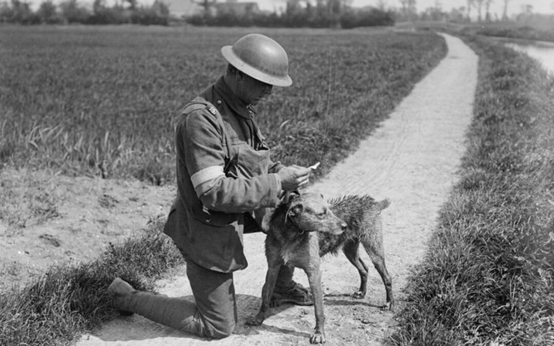 The Hero Dog Of Verdun
