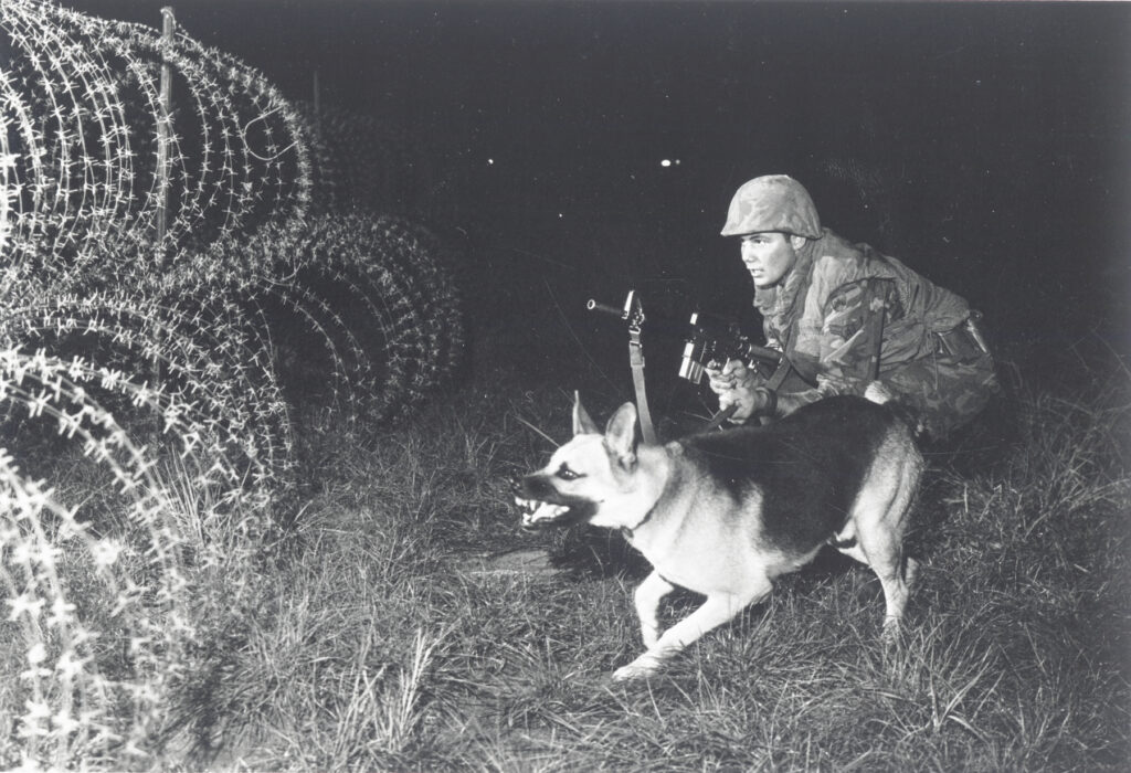 The Dogs of the Vietnam War - TogetherWeServed Blog