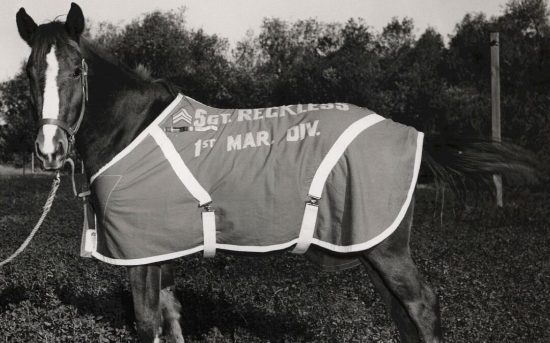 Sergeant Reckless: America’s War Horse